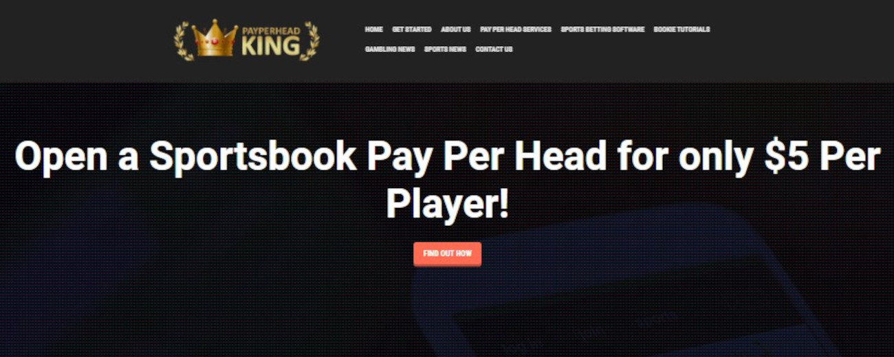 PayPerHeadKing.com Sportsbook Pay Per Head Review